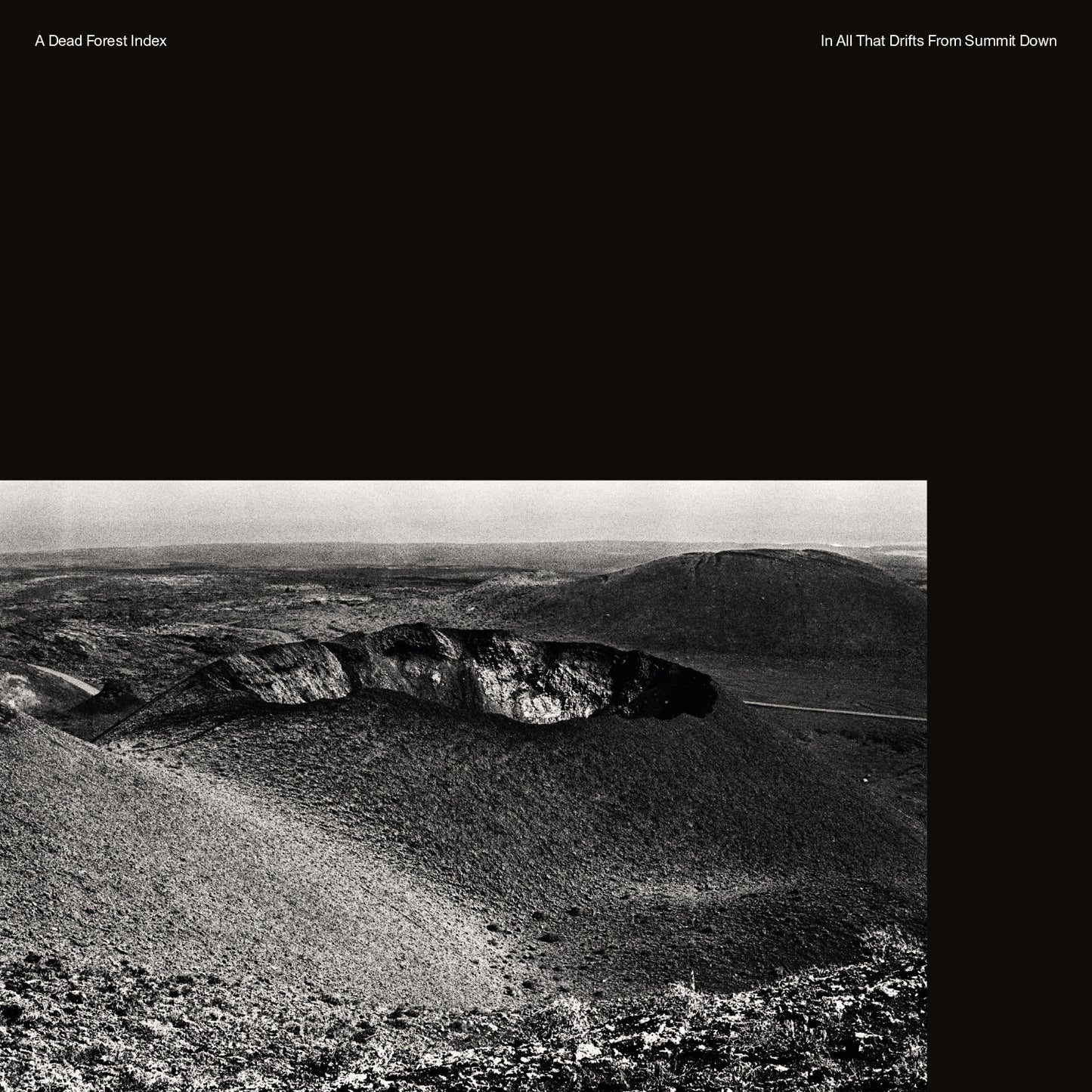 A Dead Forest Index | In All That Drifts From Summit Down - Vinyl
