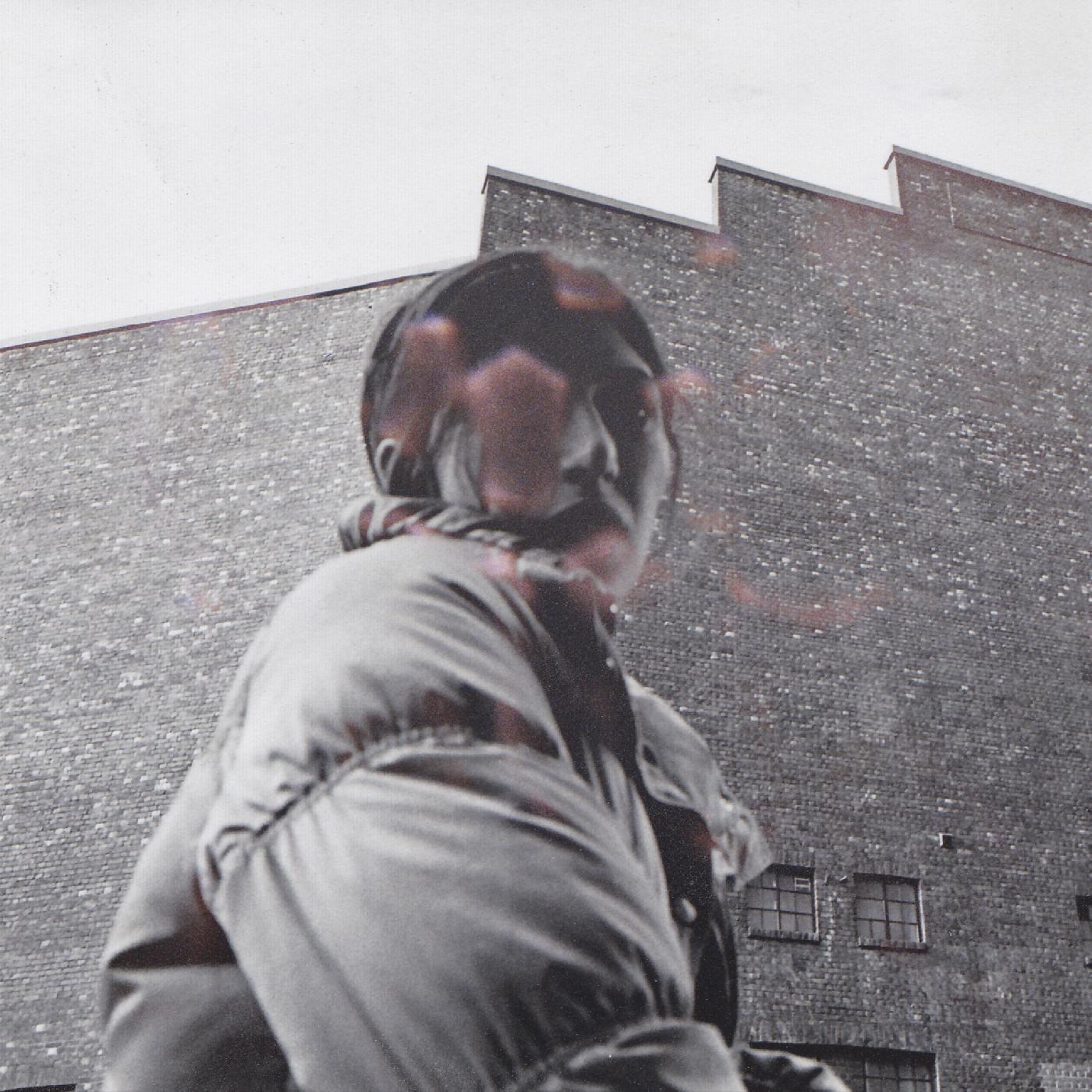 Aldous Harding | Warm Chris - CD