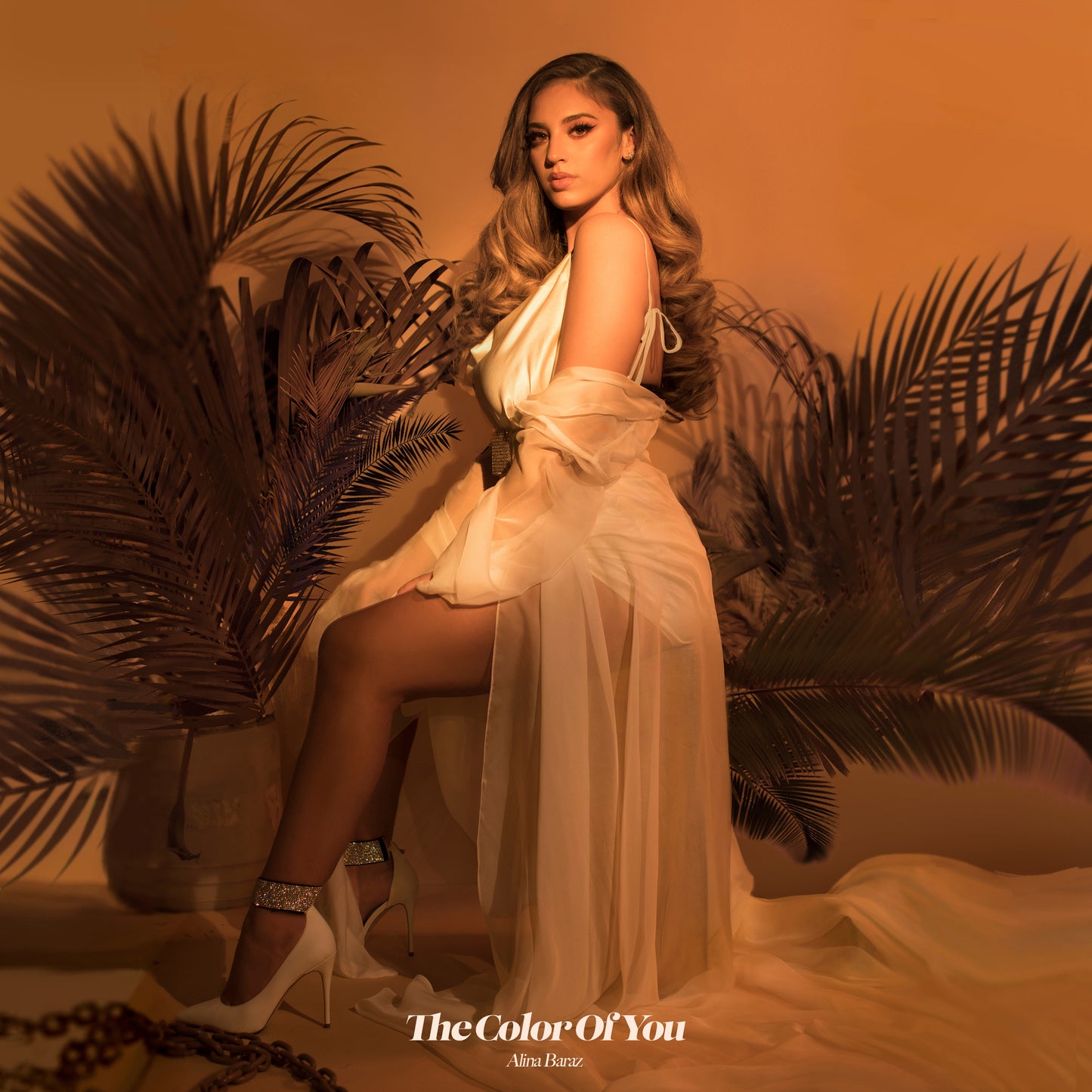 Alina Baraz | The Color Of You - CD