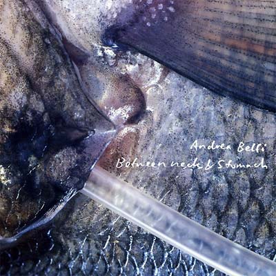 ANDREA BELFI | Between Neck & Stomach - CD
