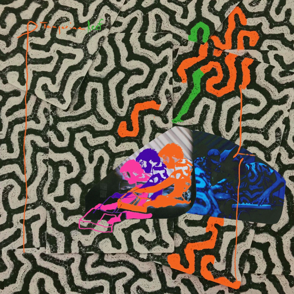 Animal Collective | Tangerine Reef (2 Lp's) - Vinyl
