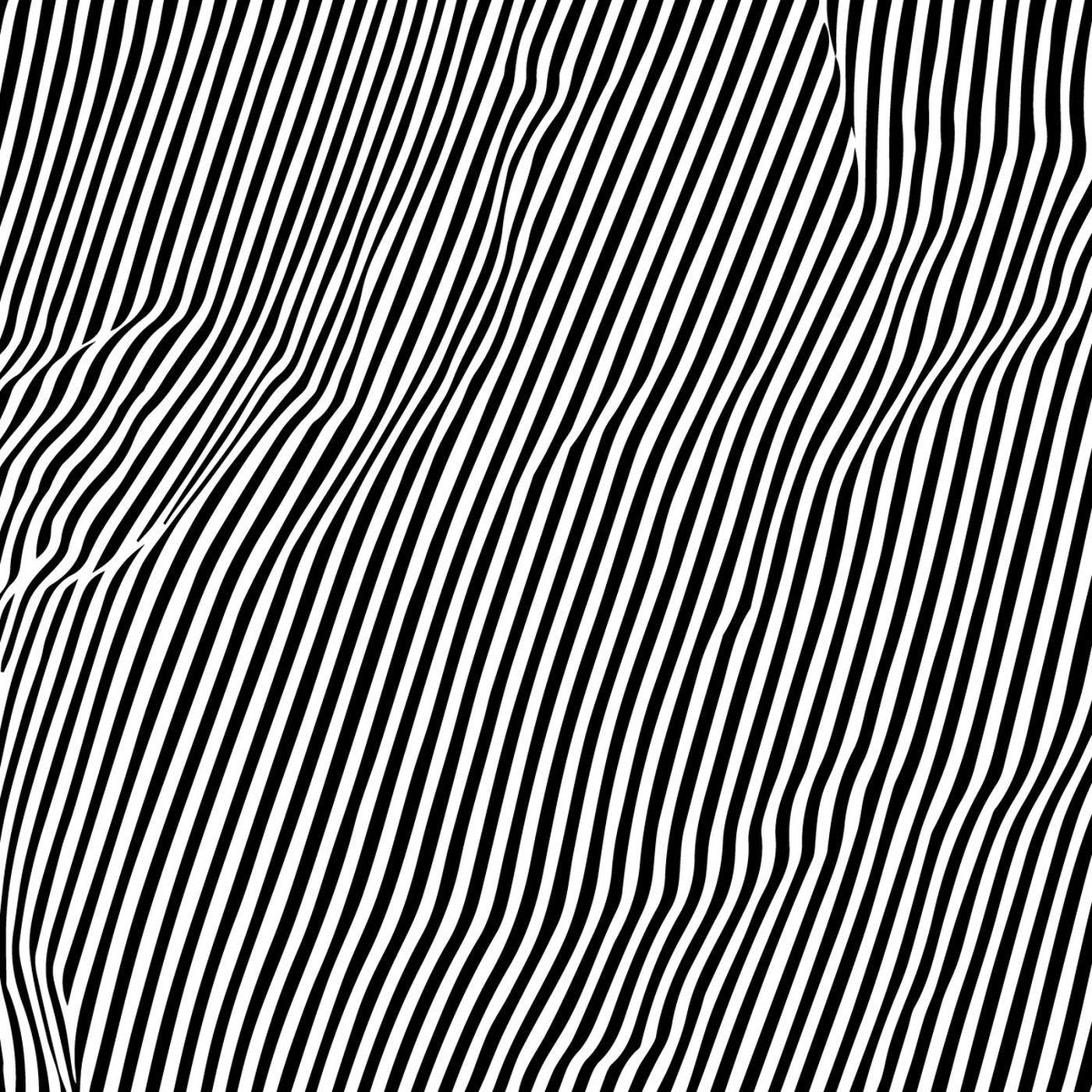 Animal Hospital | Fatique - Vinyl