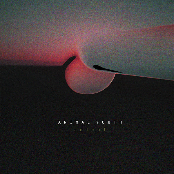 ANIMAL YOUTH | Animal - Vinyl