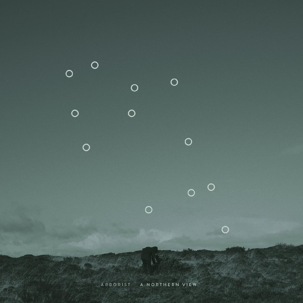 Arborist | A Northern View - Vinyl