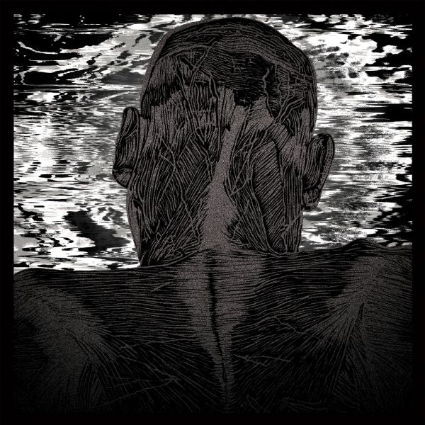 Asher Levitas | Lit Harness - CD