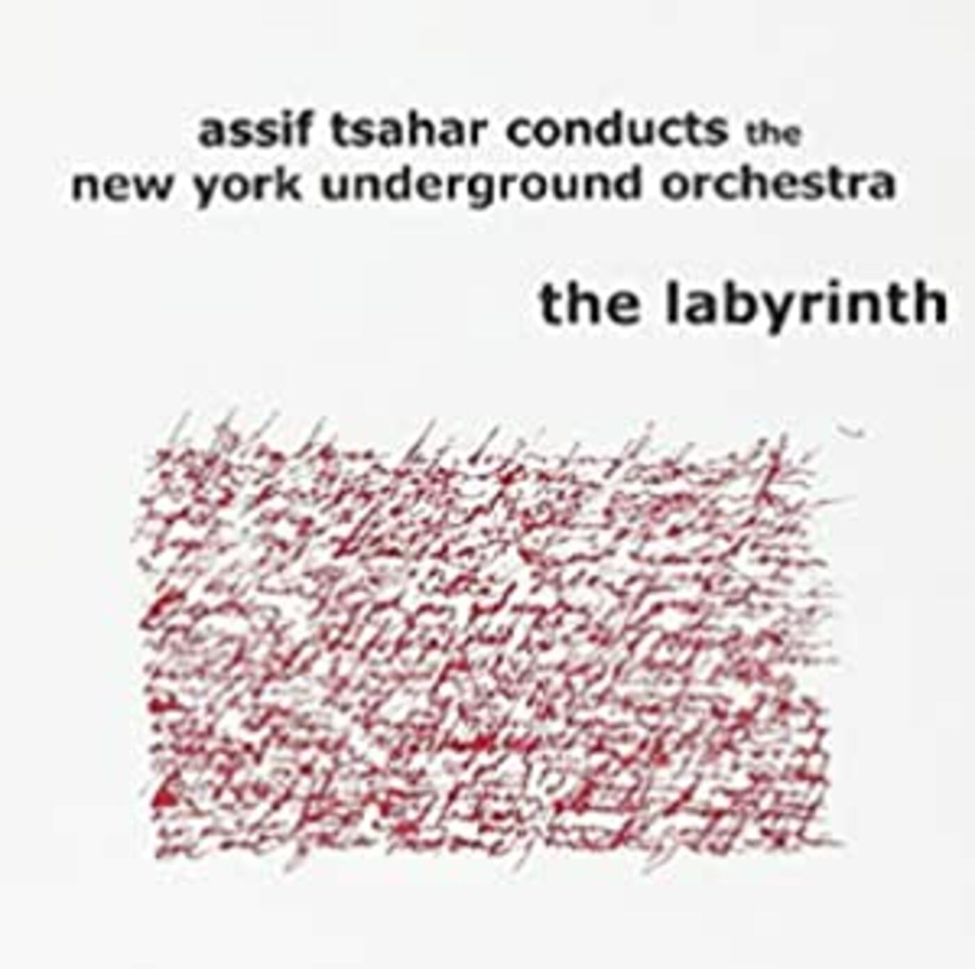 Assif conducts the NY Underground Orchestr Tsahar | The Labyrinth - CD