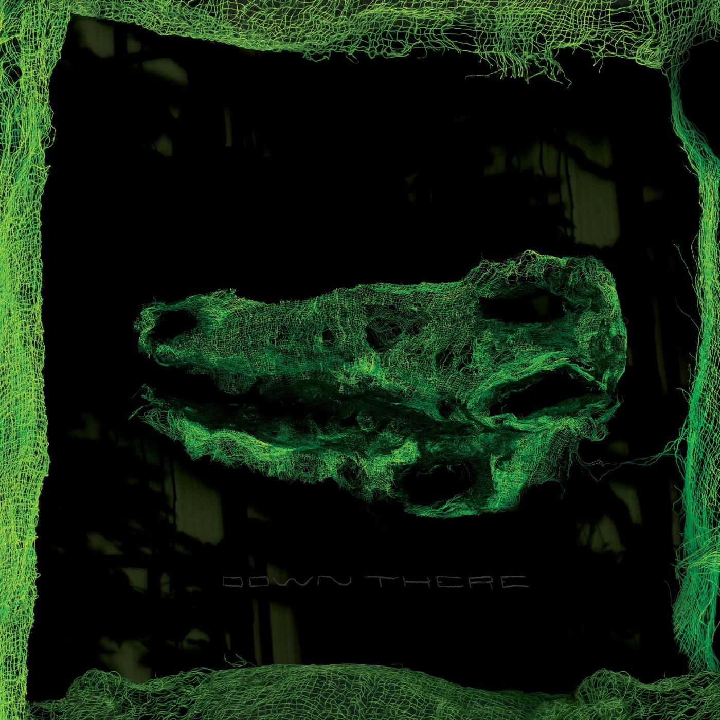 Avey Tare | Down There - Vinyl