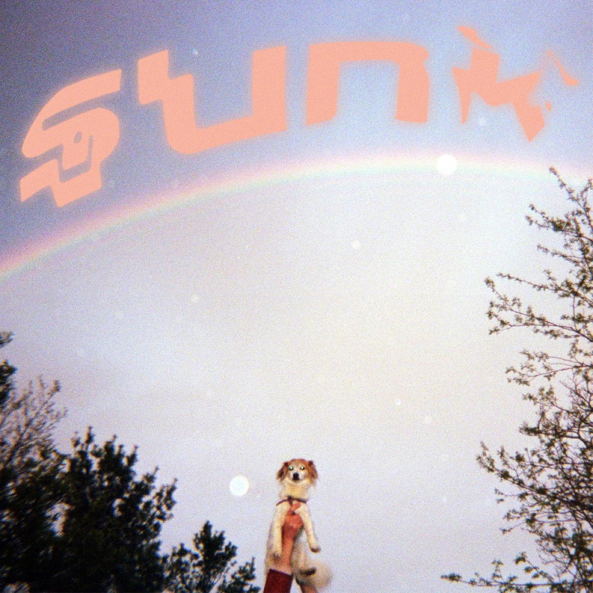 Babehoven | Sunk - CD