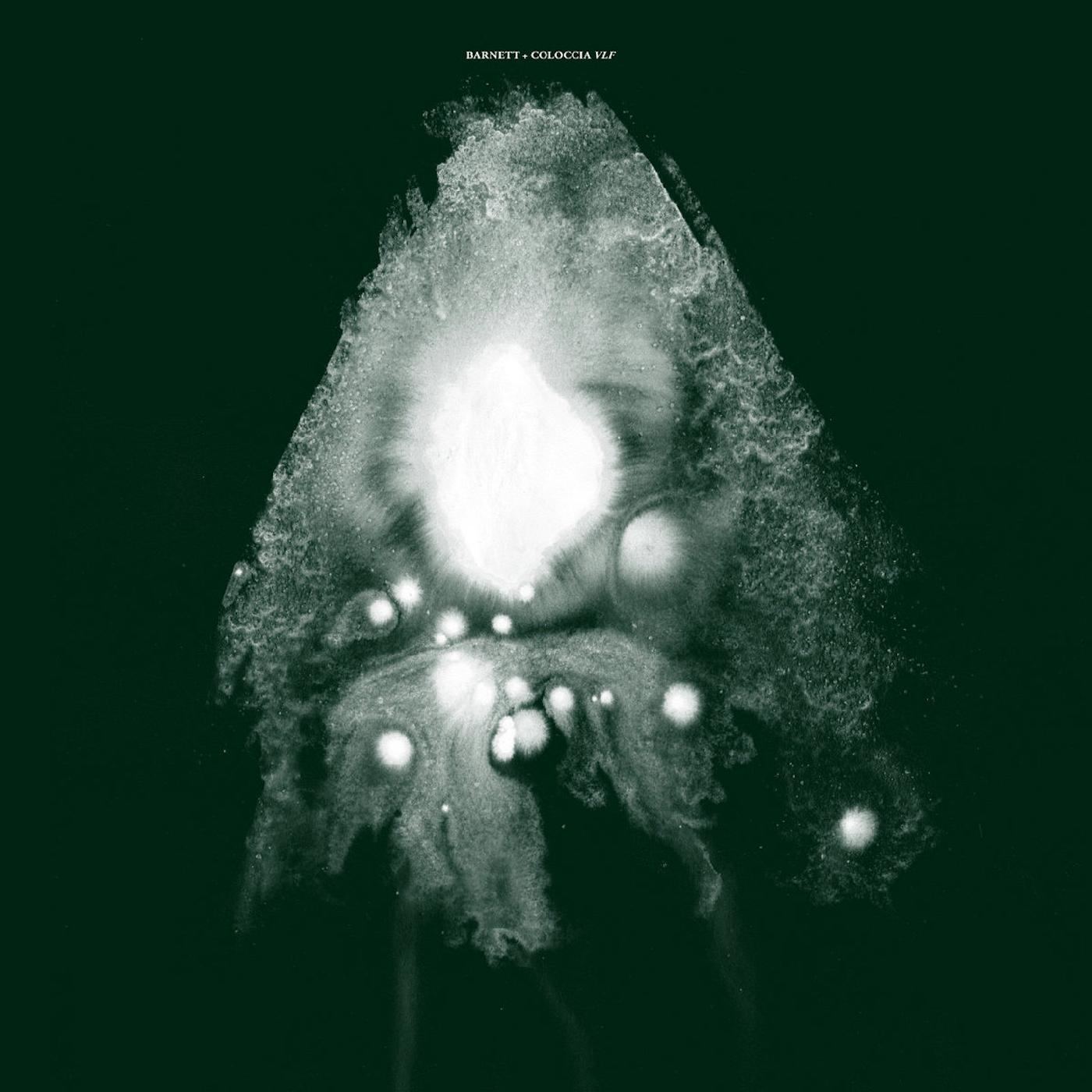 Barnett & Coloccia | VLF - Vinyl
