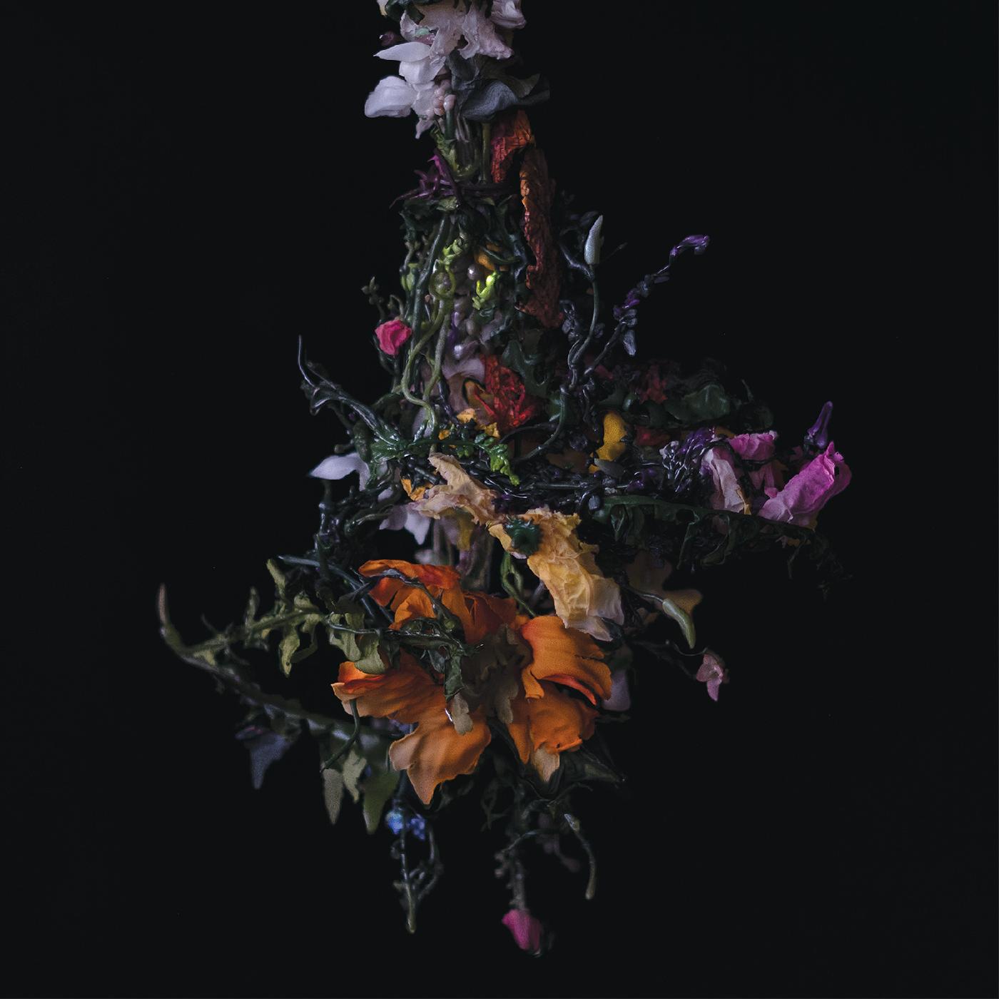BIG|BRAVE | nature morte - CD