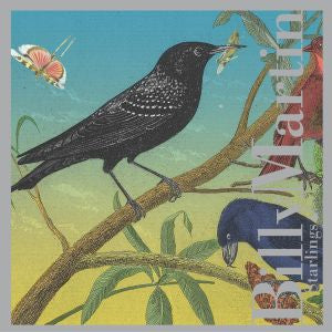 Billy Martin | Starlings - CD