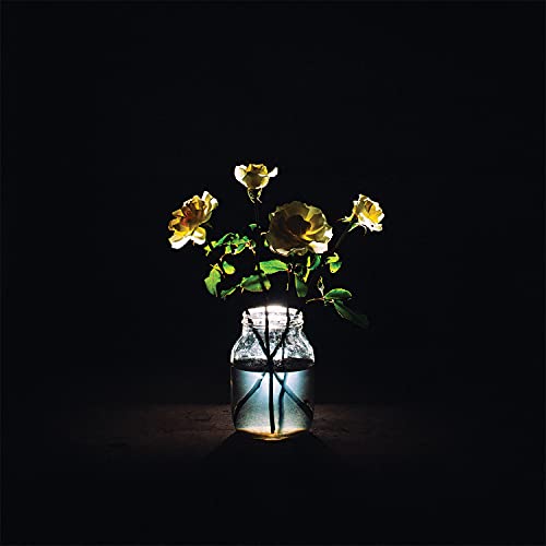Billy Strings | Renewal (180 Gram Vinyl) (2 Lp's) - Vinyl