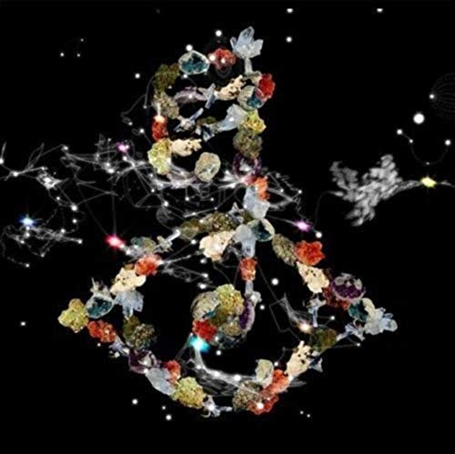 Bjork | Biophilia - Vinyl