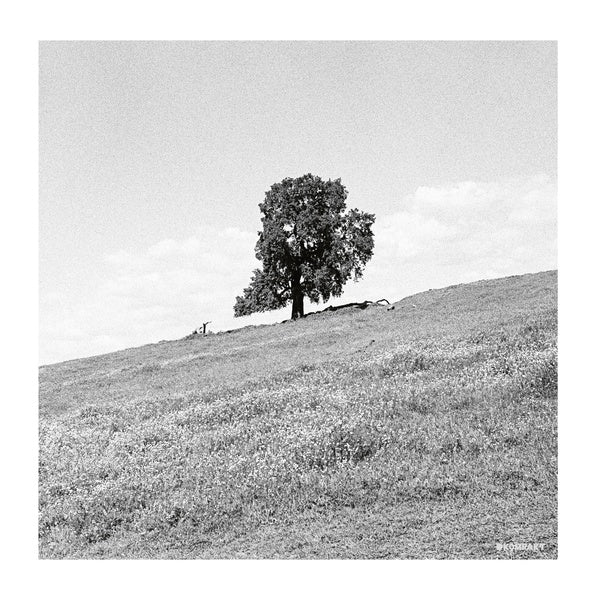 BLANK GLOSS | Cornered - Vinyl