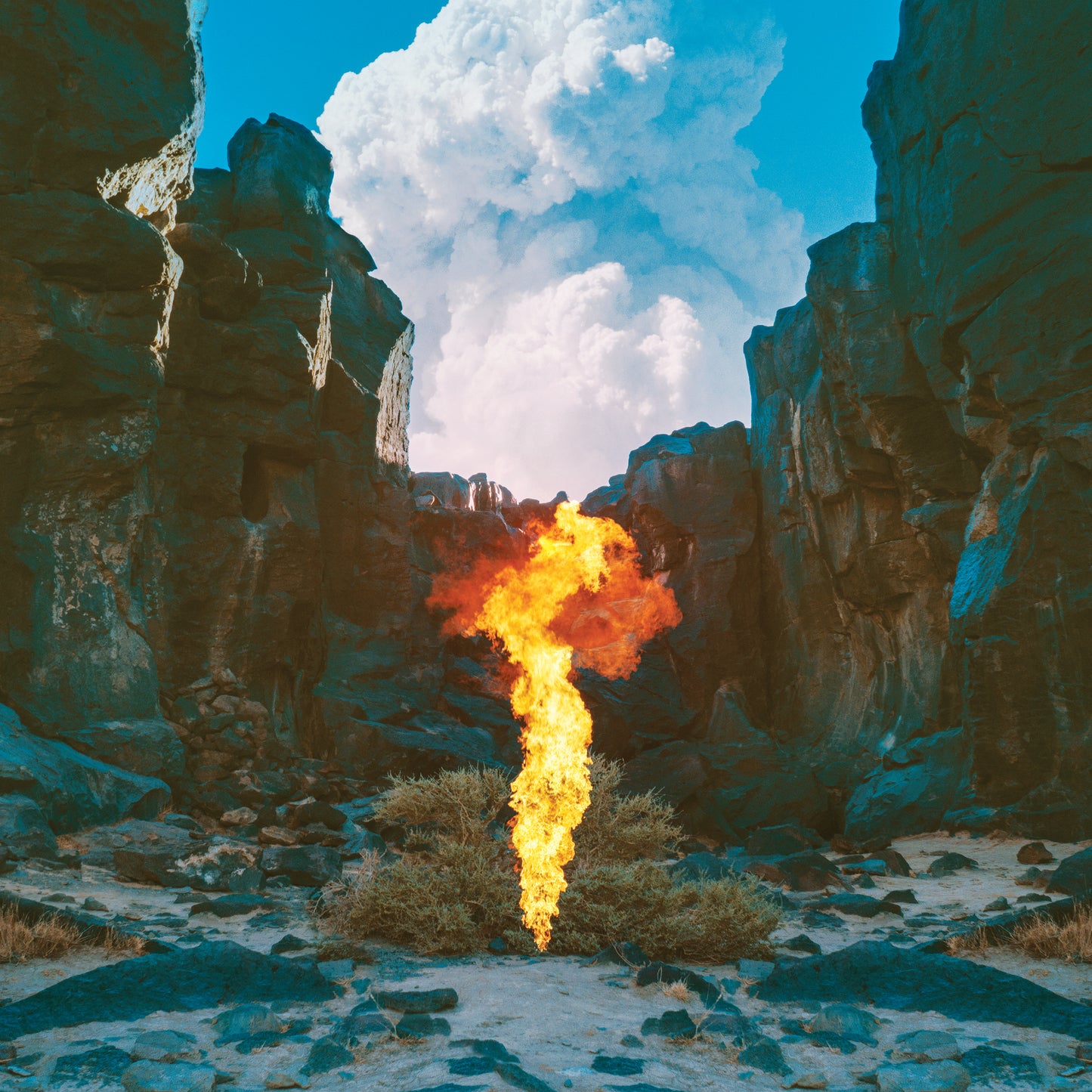 Bonobo | Migration - CD