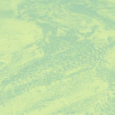 Brett Naucke | Seed - Vinyl