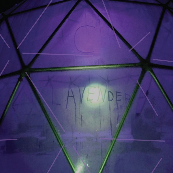 C. LAVENDER | Myth Of Equilibrium - Vinyl