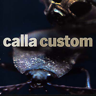 CALLA | Custom (The Remix Project) - CD