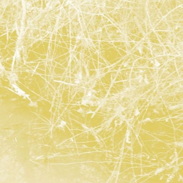 CELER | Cursory Asperses - CD