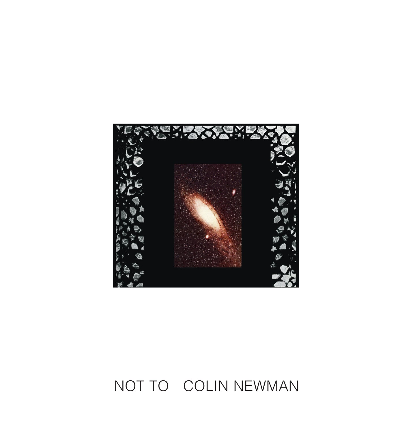 Colin Newman | Not To - Vinyl