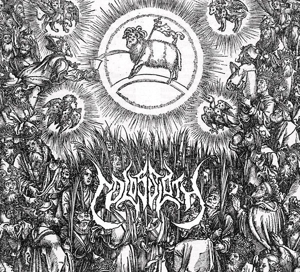 COLOSSLOTH | Heathen Needles - CD