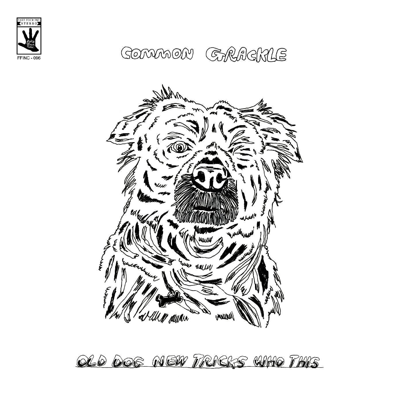 Common Grackle | Old Dog New Tricks Who This - Vinyl