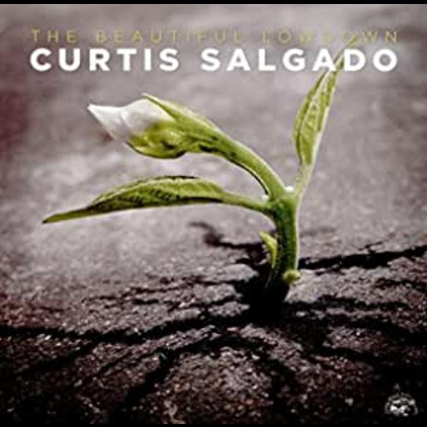 Curtis Salgado | Beautiful Lowdown - CD