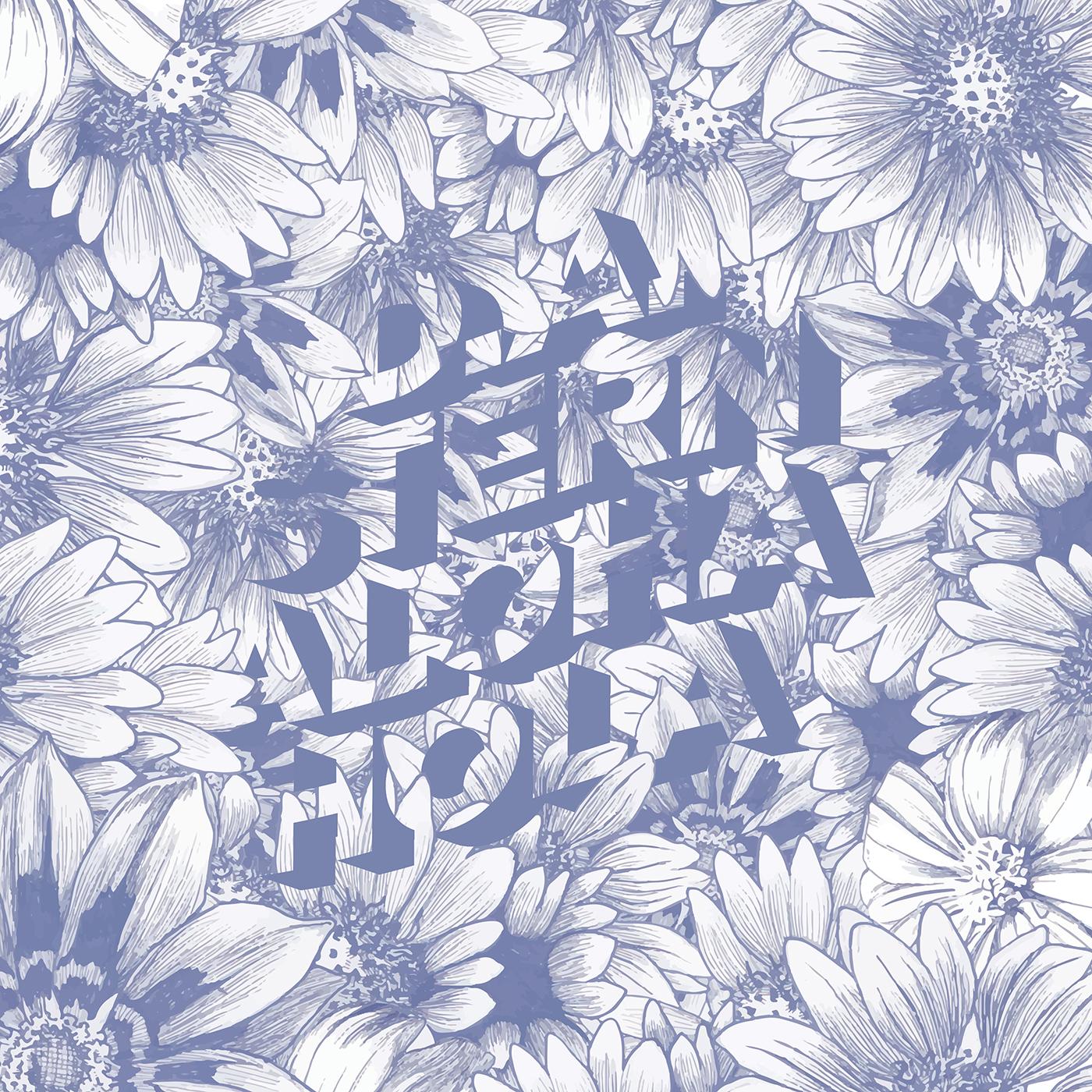 D.A. Stern | Aloha Hola - CD