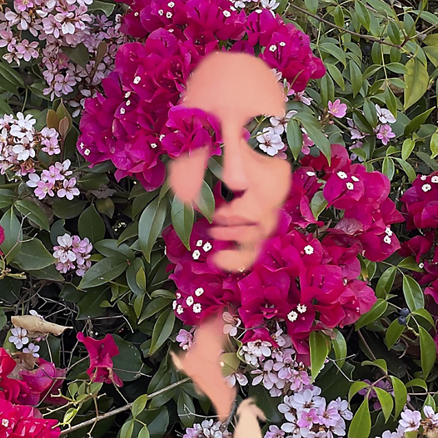 Daisy Press | You Are the Flower Music from Hildegard von Bingen Vol. 1 - CD
