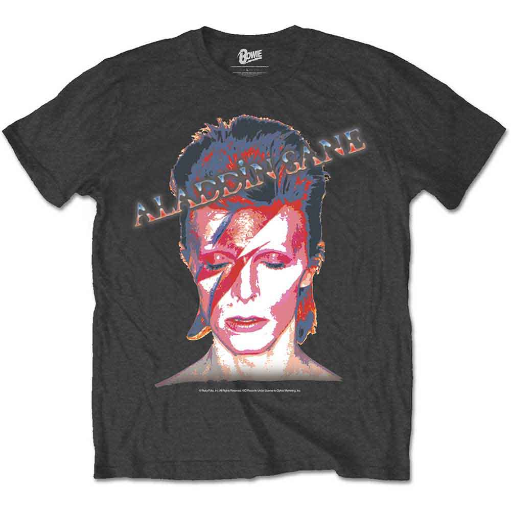 David Bowie | Aladdin Sane - T-Shirt Grey