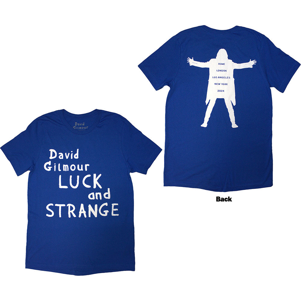 David Gilmour | Luck & Strange Logo - Blue