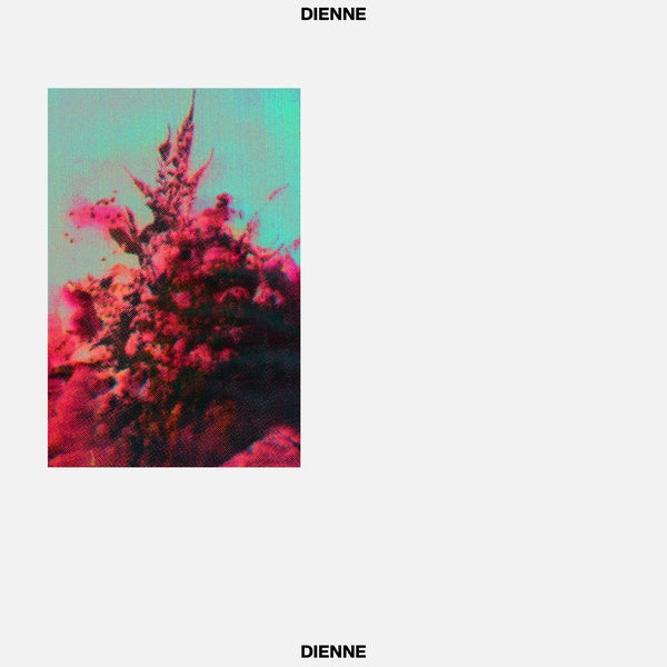 DIENNE | Addio - Vinyl