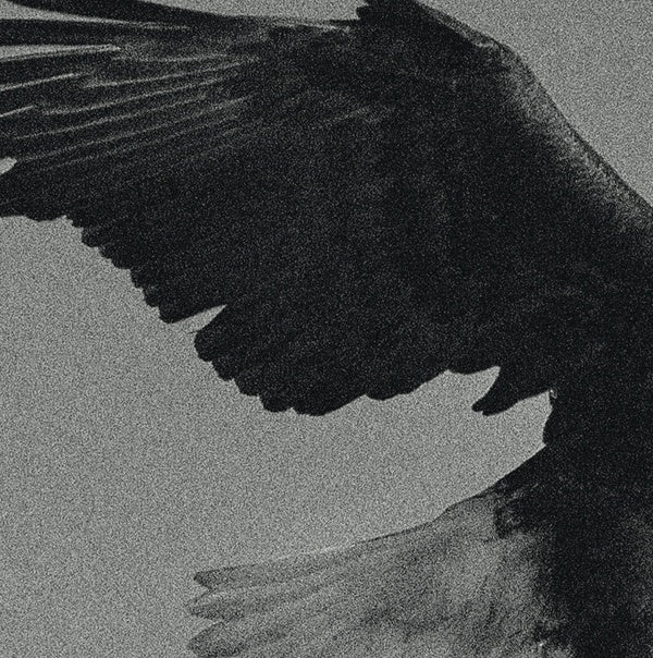 DISSEMBLANCE | Over The Sand - Vinyl