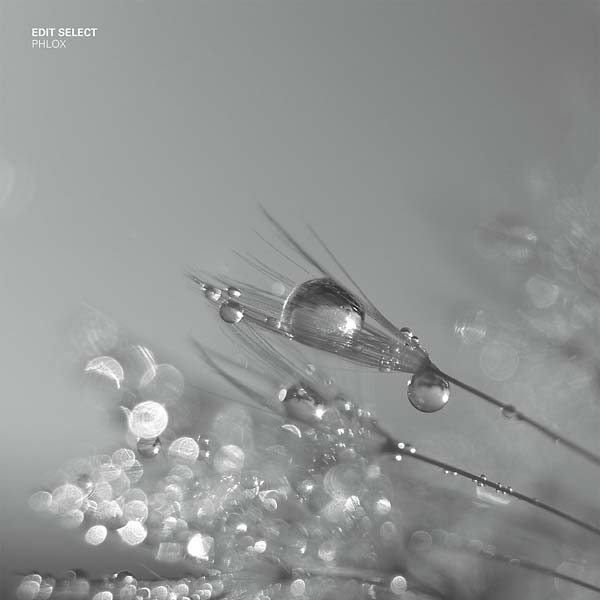 EDIT SELECT | Phlox - Vinyl