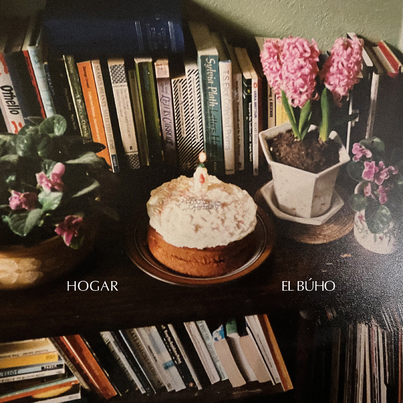 El Buho | Hogar - Vinyl