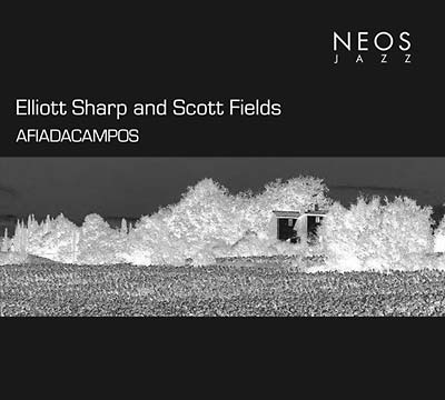 ELLIOTT SHARP & SCOTT FIELDS | Afiadacampos - CD