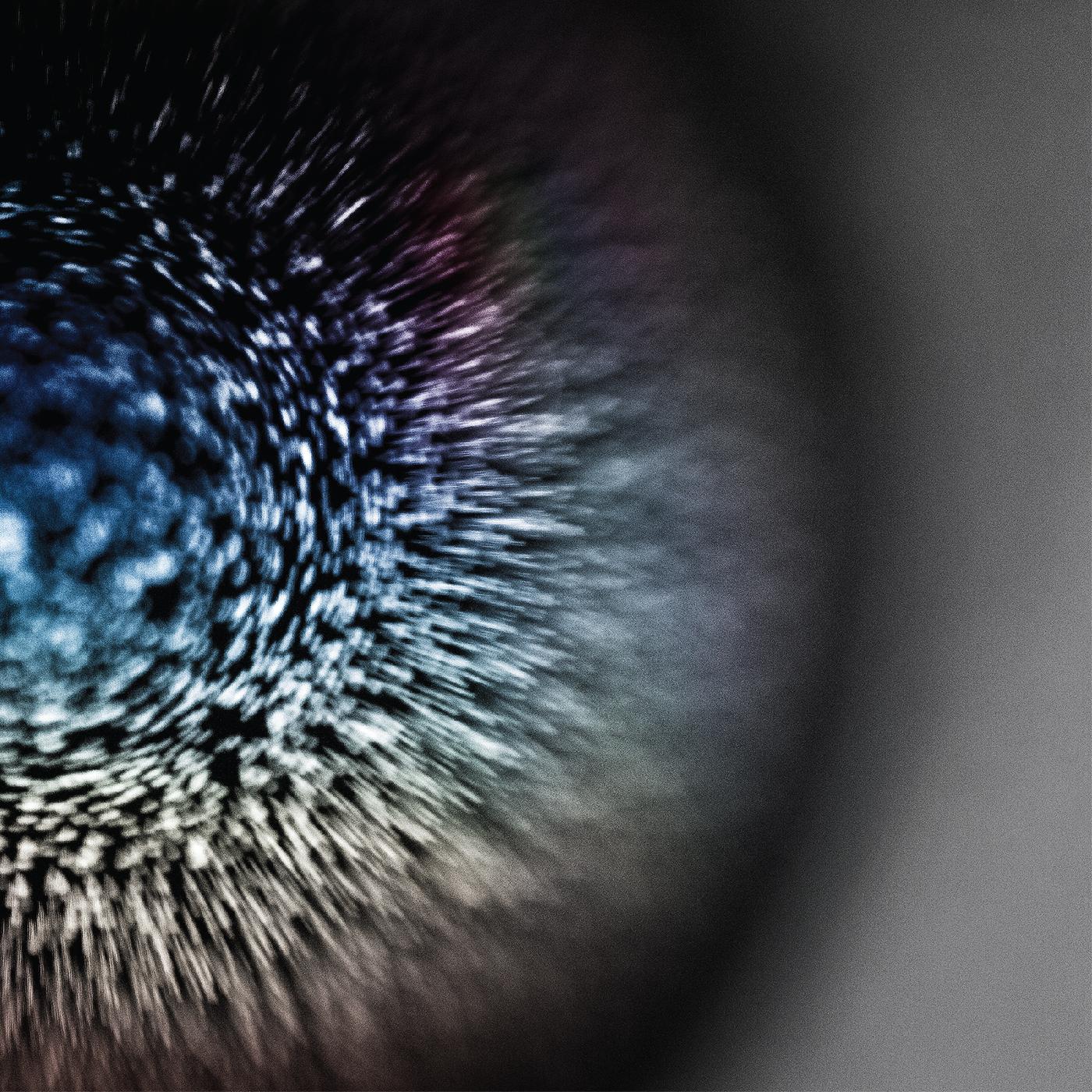 Emptyset | Blossoms (CLEAR VINYL) - Vinyl