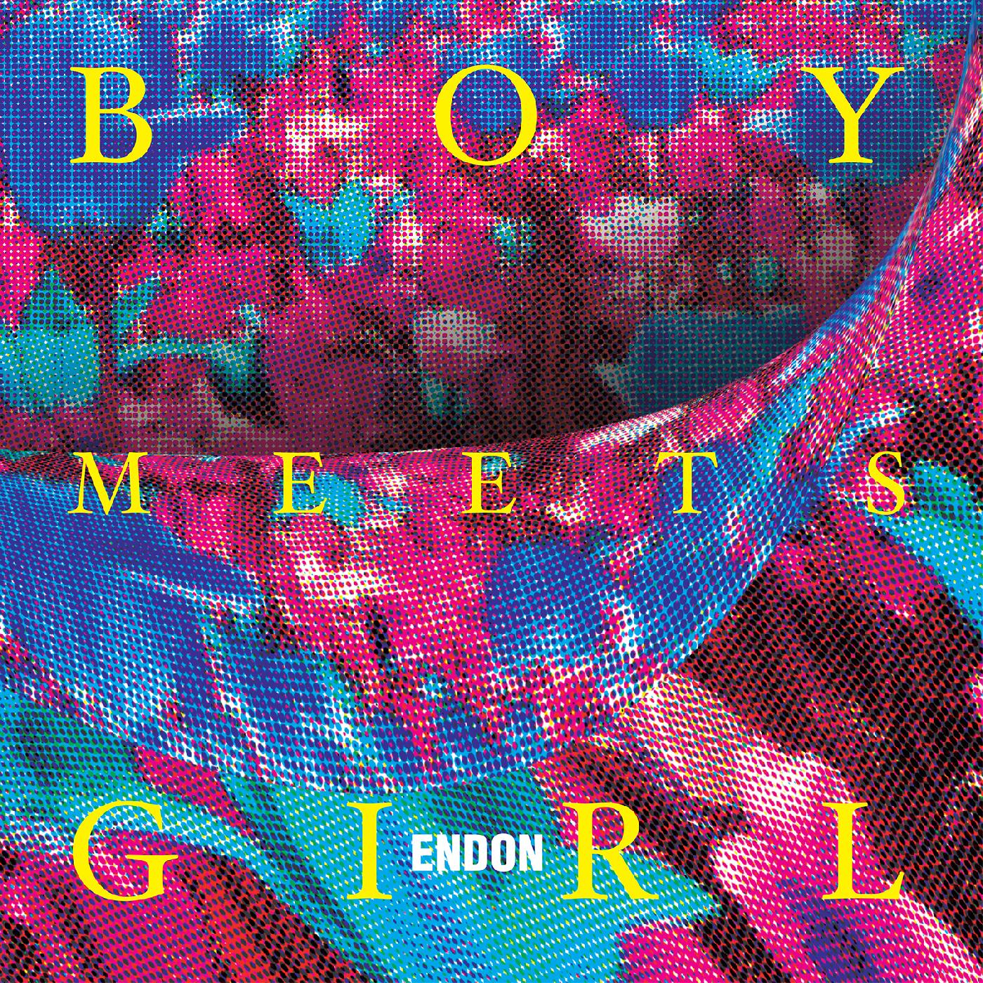 Endon | Boy Meets Girl - Vinyl