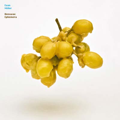EVAN MILLER | Beeswax Ephemera - CD