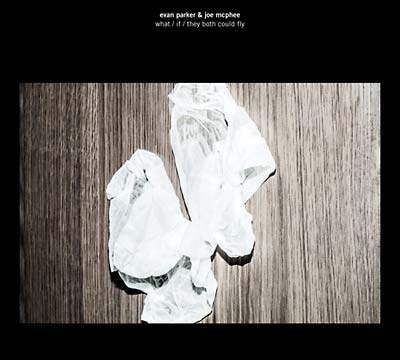 EVAN PARKER & JOE MCPHEE | What/If/They Both Could Fly - CD
