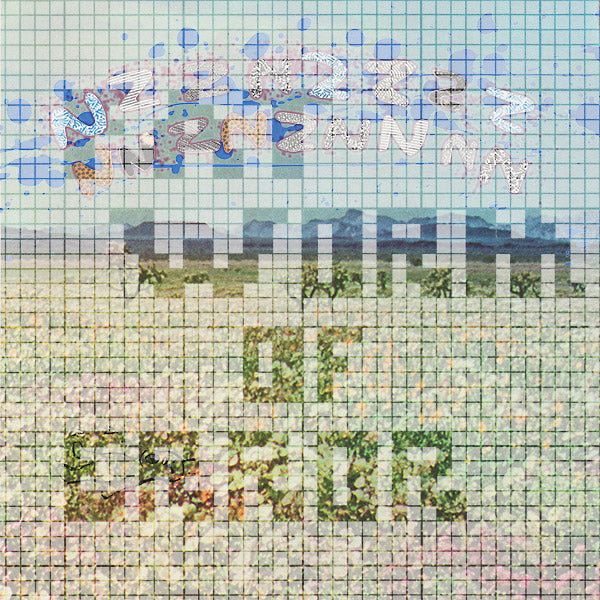 FAT WORM OF ERROR | Nzznzzzznnznznnn - Vinyl