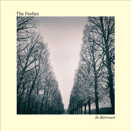Feelies | In Between (Digital Download Card) - Vinyl