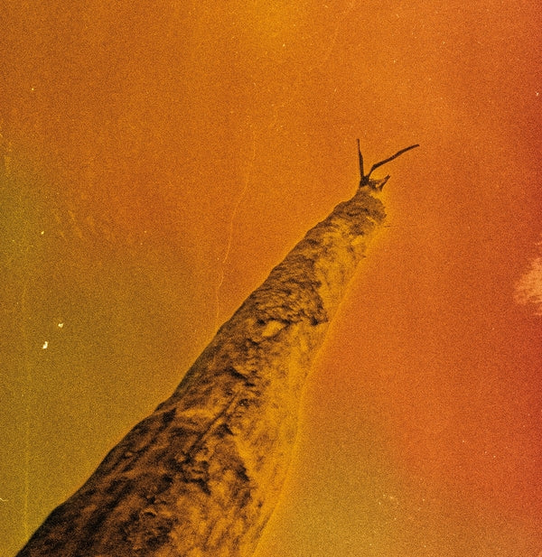 FREDERIC D. OBERLAND/GREGORY DARGENT/TONY ELIEH/WA | SIHR - Vinyl