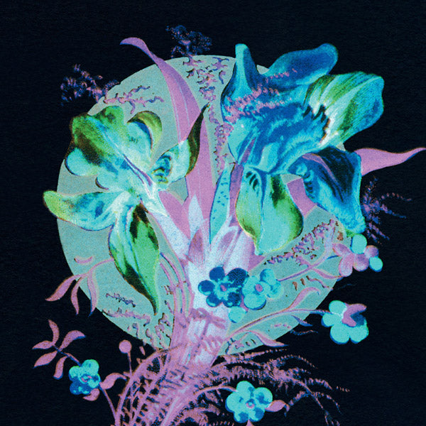 HANNU KARJALAINEN | A Handful Of Dust Is A Desert - CD