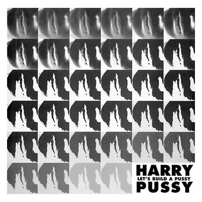 HARRY PUSSY | Let's Build a Pussy - Vinyl