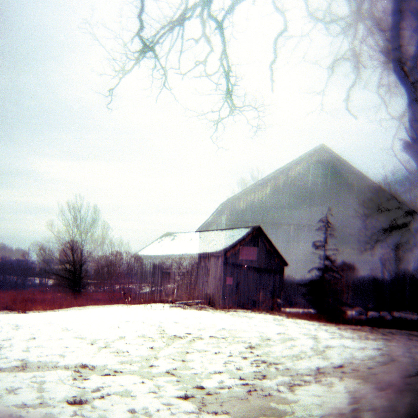 Horse Feathers | House With No Home - CD