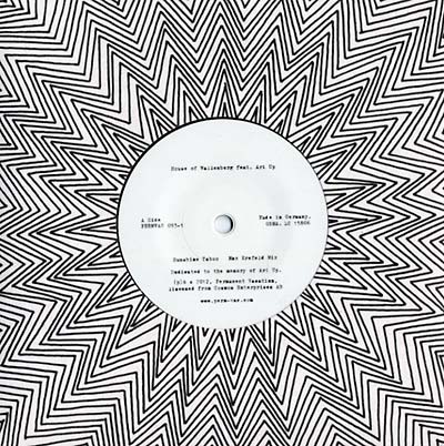 HOUSE OF WALLENBERG (FEAT. ARI UP) | Sunshine Taboo - Vinyl