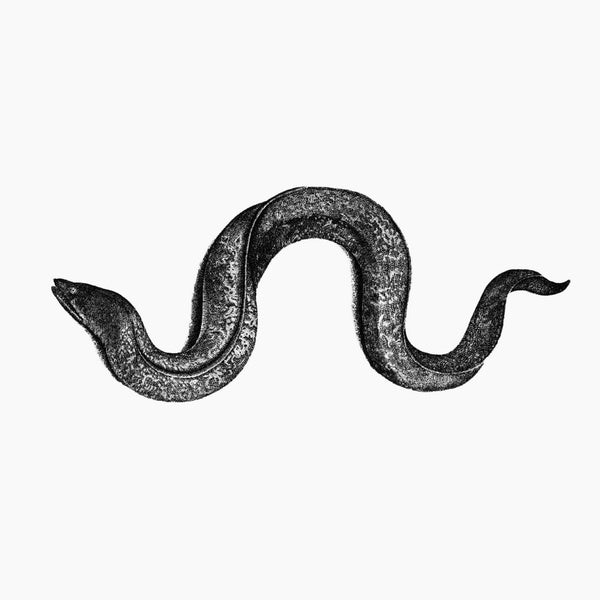 HYUNHYE SEO | Eel - CD