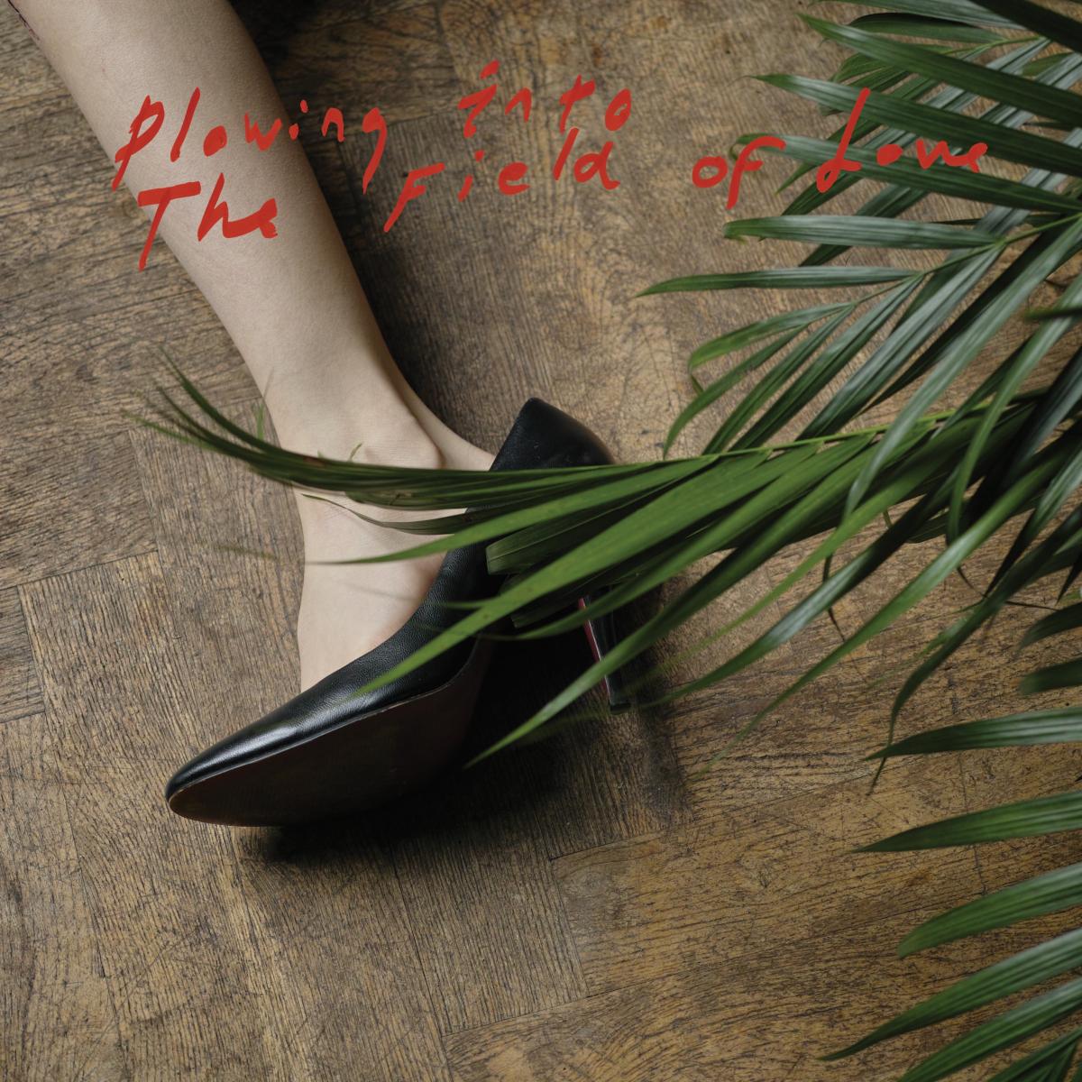 Iceage | Plowing Into the Field of Love - CD