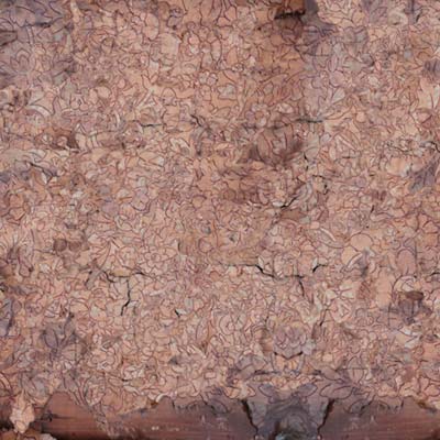 INDIGNANT SENILITY | Consecration Of The Whipstain - Vinyl